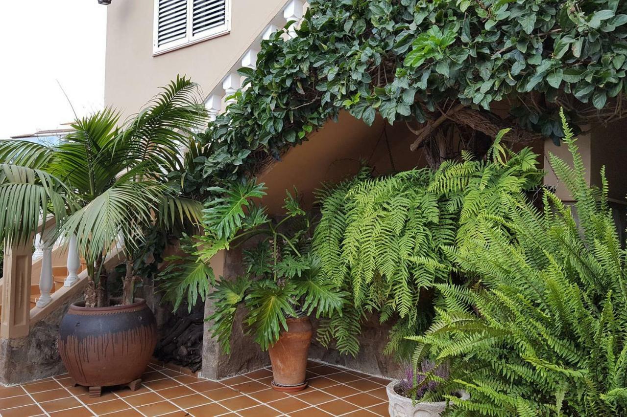 فيلا Orotava Garden House Perfect For Families لا أوروتافا المظهر الخارجي الصورة